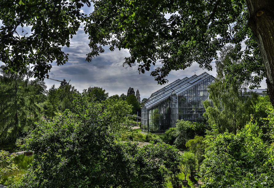 Spazieren Sie durch den Botanischen Garten von Osnabrück.