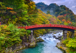 Bei dem optionalen Ausflug Nikko begegnen Sie traumhaften Landstrichen und erleben die Schönheit Japans mit allen Sinnen.