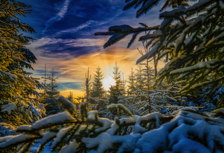 Der Winter im Harz ist märchenhaft schön.