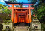 Der Eingang zum Fushimi-Inari-Schrein in Kyoto