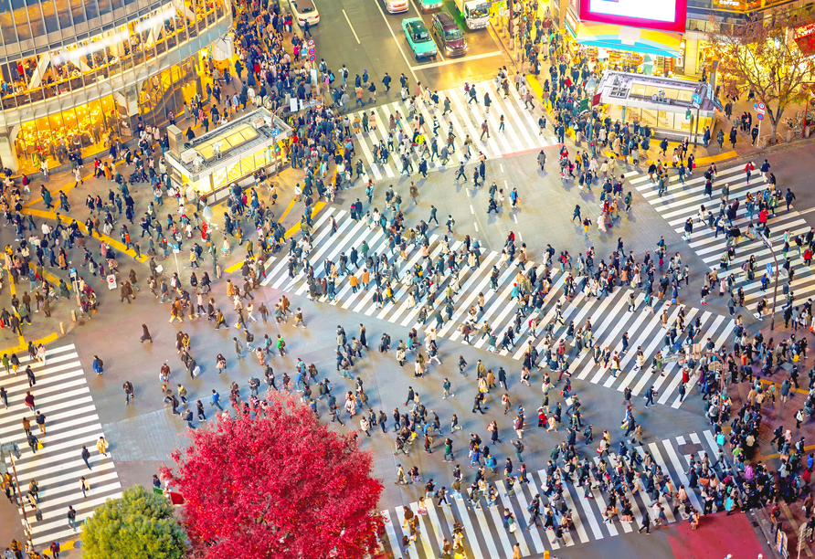 Wussten Sie dass die Shibuya Crossing in Tokio täglich von bis zu 250.000 Menschen überquert wird?