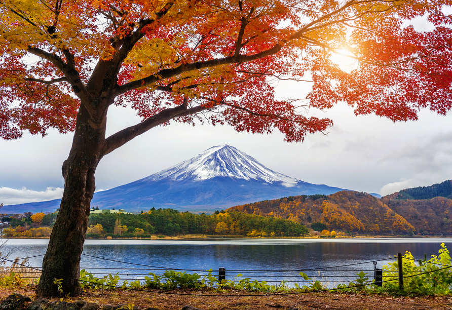 Traumhafter Blick auf den Berg Fuji im Herbst