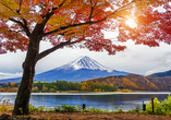 Traumhafter Blick auf den Berg Fuji im Herbst
