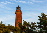 Vom Leuchtturm am Darßer Ort aus haben Sie eine großartige Aussicht auf die Ostsee.