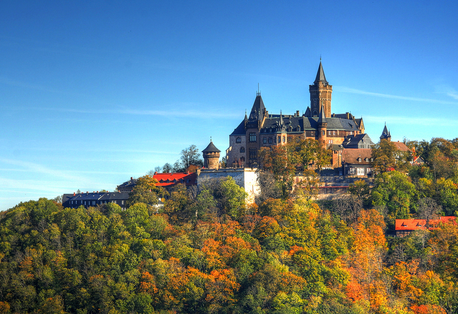 Genießen Sie den Anblick des imposanten Schlosses, welches über Wernigerode thront.