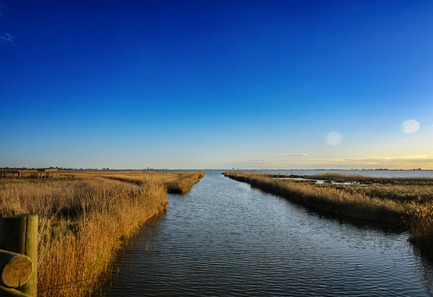 Genießen Sie die Stille und Weite der Landschaft während der Bootsfahrt durch das Ebro-Delta.