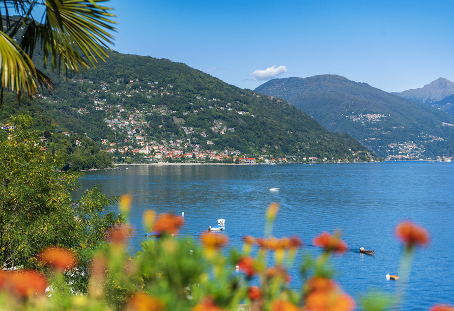 Freuen Sie sich auf einen traumhaften Urlaub am Lago Maggiore!