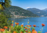 Freuen Sie sich auf einen traumhaften Urlaub am Lago Maggiore!