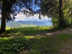 Erfreuen Sie sich bei einer Wanderung an der Idylle in der Natur.