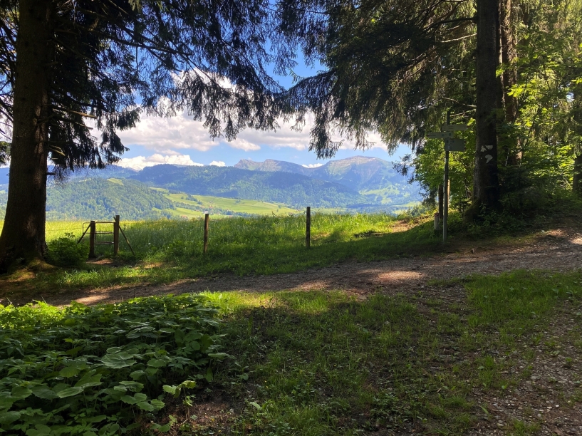 Erfreuen Sie sich bei einer Wanderung an der Idylle in der Natur.