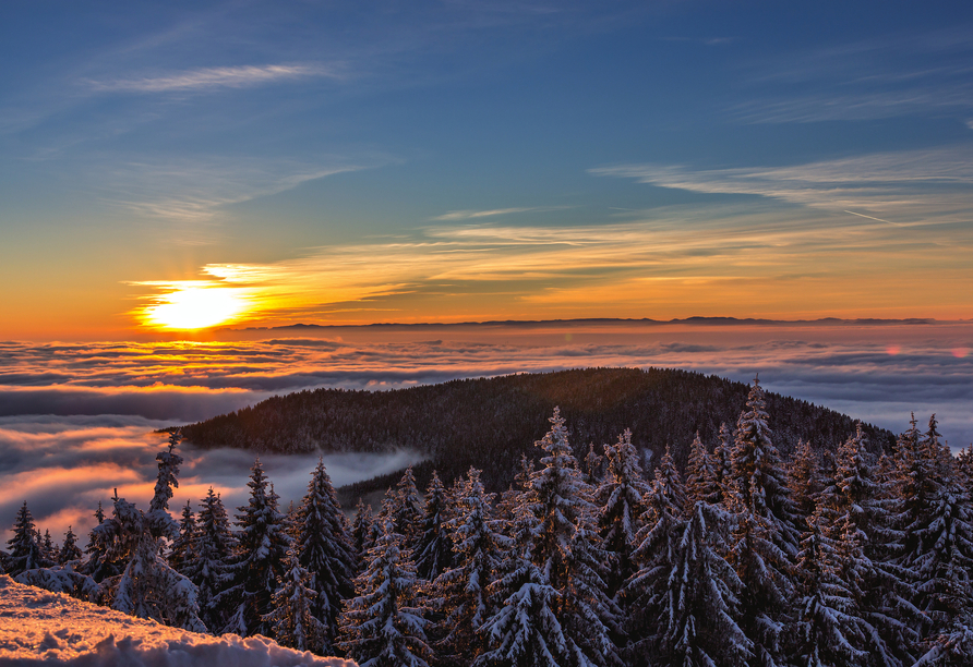 Auch im Winter verzaubert der Schwarzwald mit magischen Eindrücken.