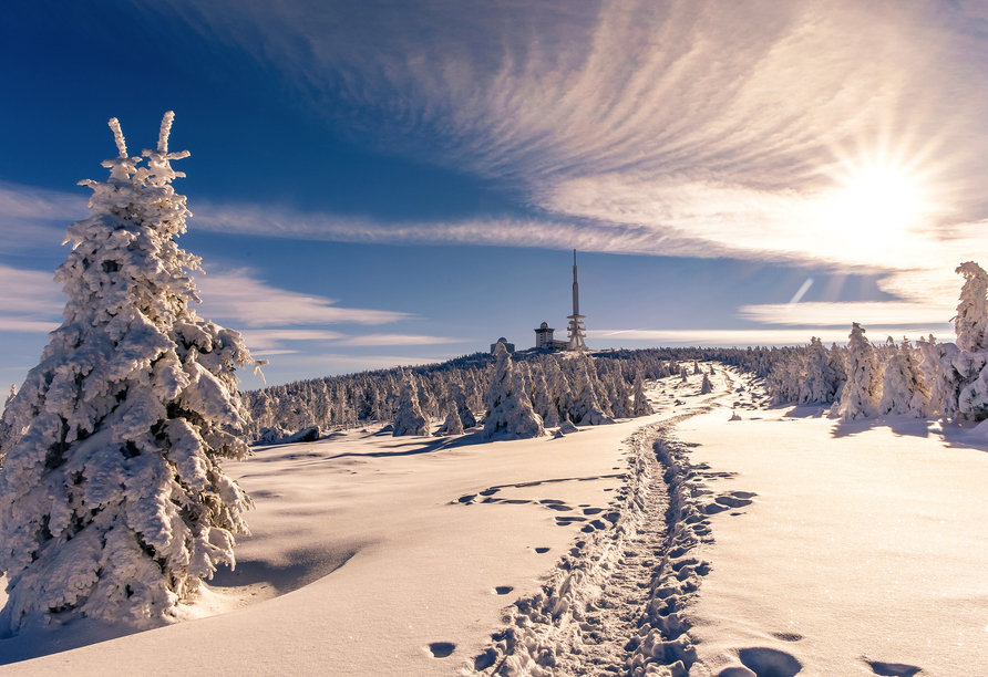 Ein wahres Winterwunderland erwartet Sie auf dem bekannten Brocken.