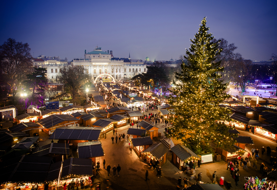 Natürlich darf auch ein Besuch des Wiener Weihnachtsmarktes nicht fehlen.