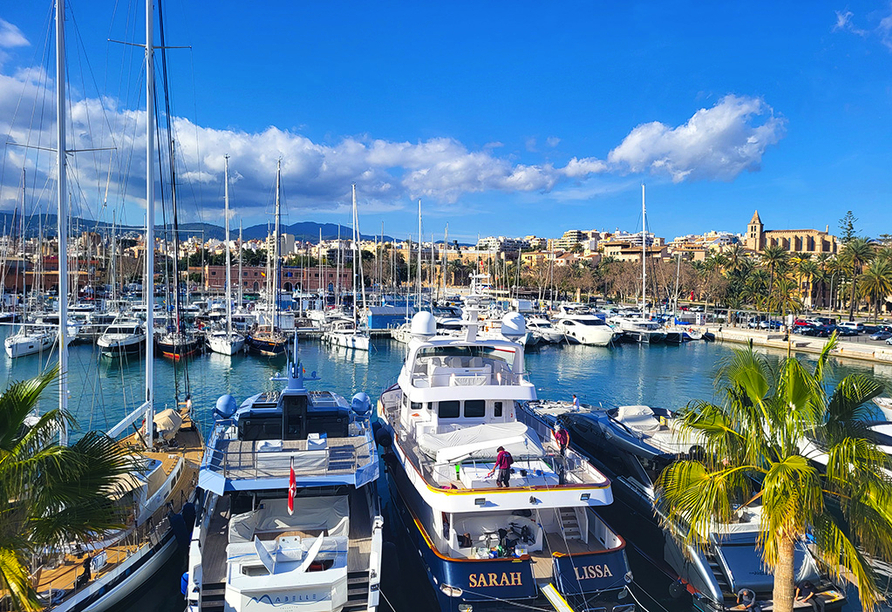 Der Hafen von Palma ist der größte Hafen der Balearen.