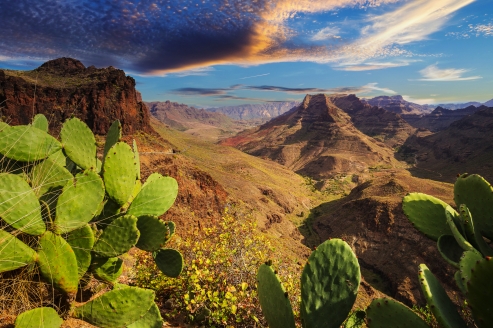 Die Landschaften auf Gran Canaria werden Sie beeindrucken.