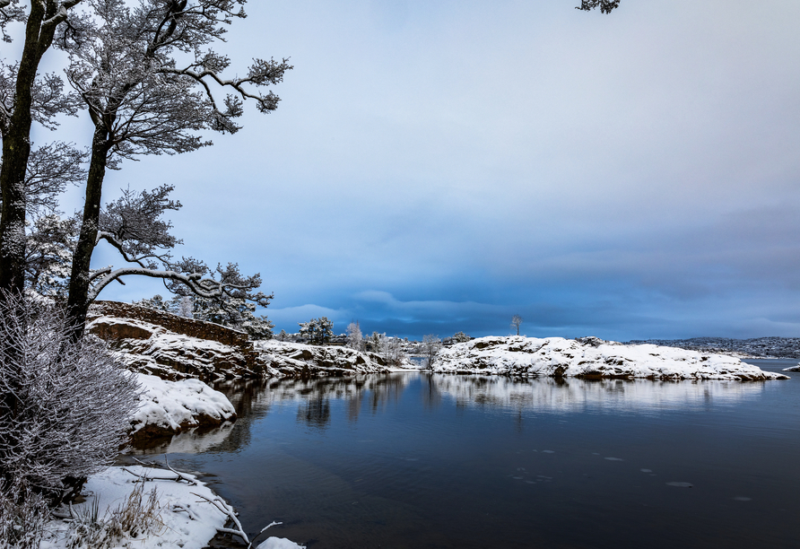 Freuen Sie sich auf den einzigartigen Zauber der norwegischen Fjorde im Winter.