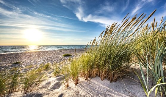 Der lange Sandstrand lädt zu ausgiebigen Spaziergängen ein.