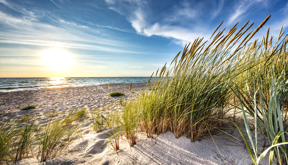 Der lange Sandstrand lädt zu ausgiebigen Spaziergängen ein.