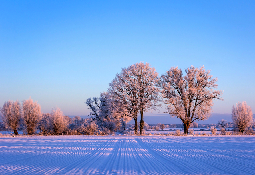 Stapfen Sie durch die schneebedeckten Landschaften der Altmark und lassen Sie sich verzaubern.
