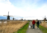 Erkunden Sie die schönen Naturlandschaften Hollands mit Ihrem Hund.