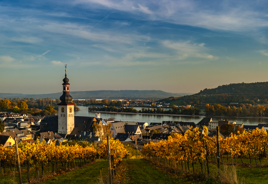 Sie fahren durch das schöne Rheintal und entdecken Rüdesheim am Rhein.
