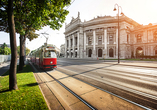 Lernen Sie die berühmte Wiener Ringstraße bei einer Fahrt mit der Tram kennen.