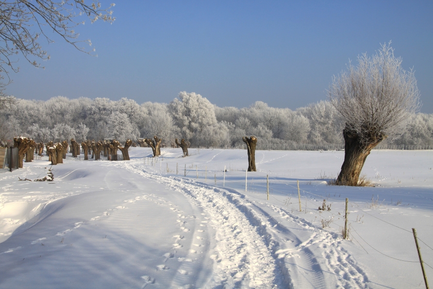 Stapfen Sie durch die wohl schönsten Winterlandschaften.