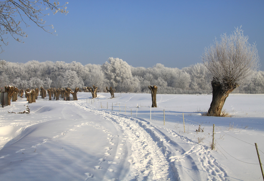 Stapfen Sie durch die wohl schönsten Winterlandschaften.