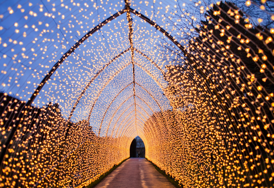 Besuchen Sie die Festung Ehrenbreitstein in Koblenz, die im Winter von der Ausstellung Christmas Garden erleuchtet wird.