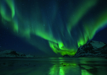 Erleben Sie mit Hurtigruten wie sich die unglaublichen Farben der Nordlichter über den arktischen Himmel bewegen.