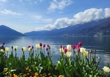 Genießen Sie in Ascona den idyllischen Ausblick über den Lago Maggiore.