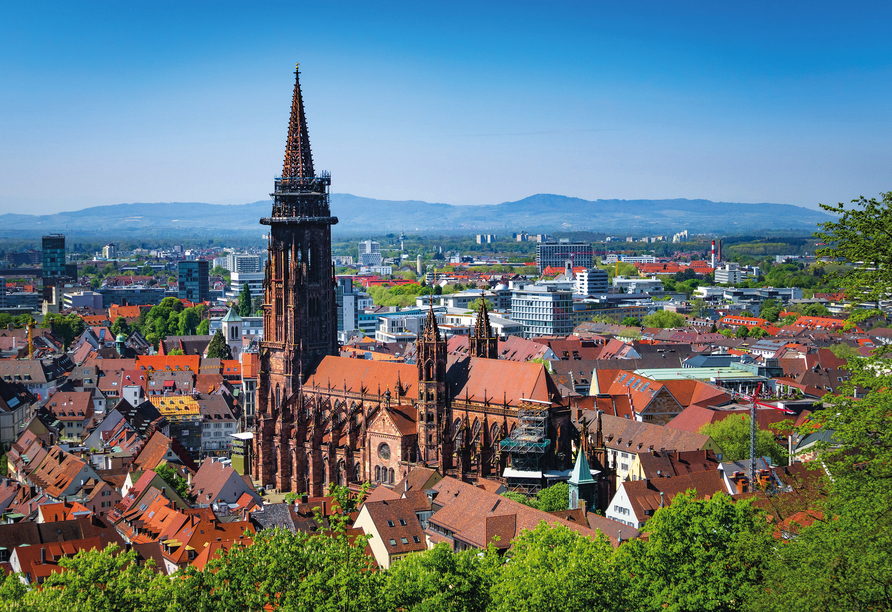 Statten Sie dem Münster in Freiburg einen Besuch ab!