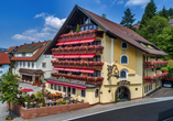 Freuen Sie sich auf einen unvergesslichen Urlaub im Hotel Falken im Schwarzwald!