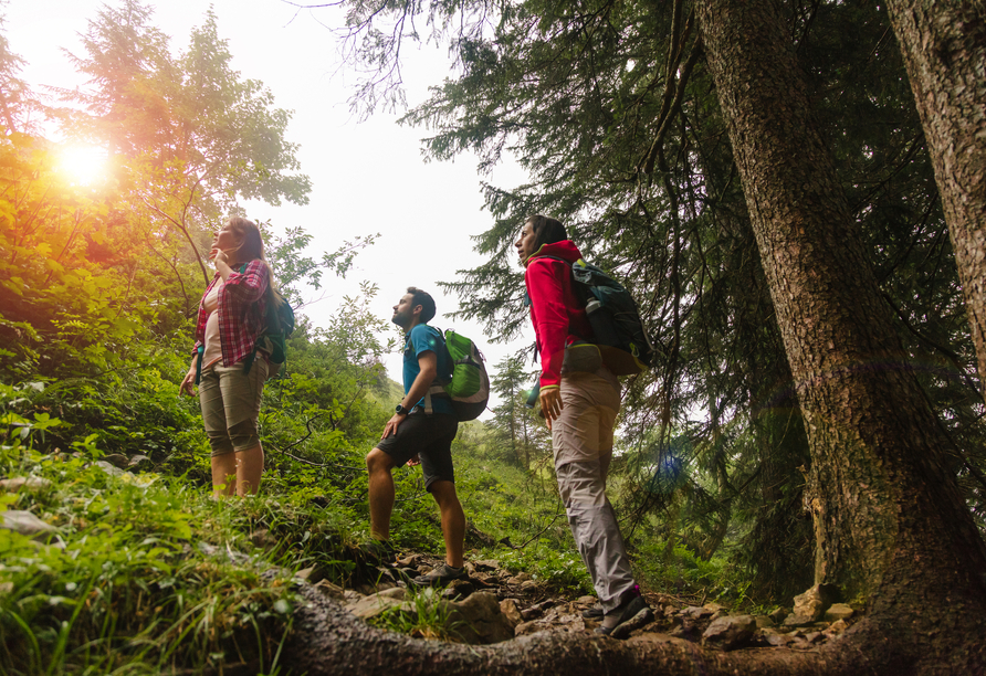 Genießen Sie die Natur des Schwarzwaldes bei einer individuellen Wanderung. 