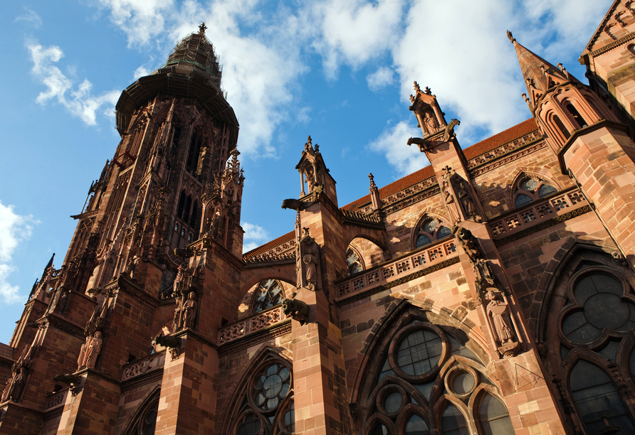 Besteigen Sie den Turm des Freiburger Münsters und genießen Sie den tollen Ausblick über die Stadt. 