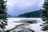Der Große Arbersee vor winterlicher Kulisse.