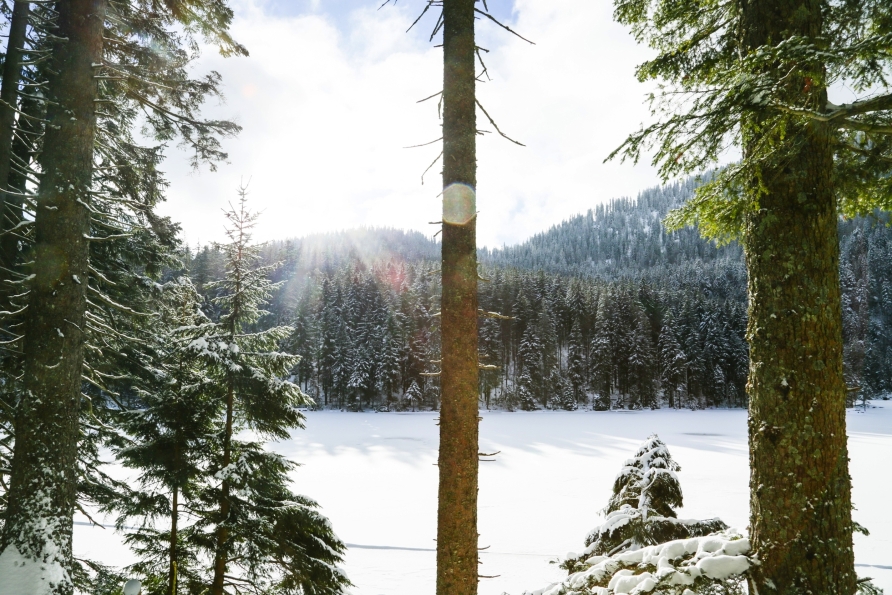 Leise rieselt der Schnee, still und starr ruht der Große Arbersee.