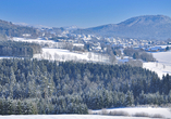 Reisen Sie im Winter in den idyllischen Bayerischen Wald!