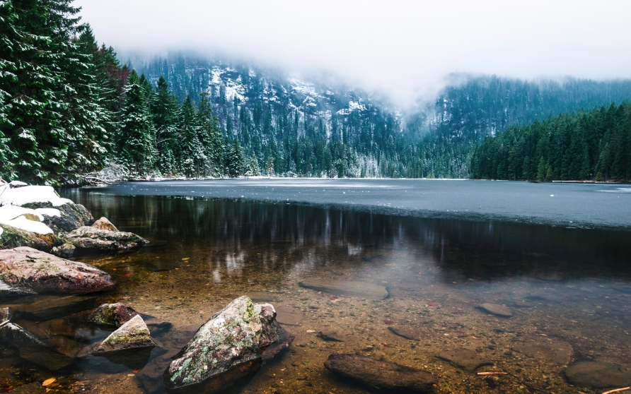 Der gefrorere Arbersee mit Schnee und Nebel strahlt eine einmalige Atmosphäre aus.