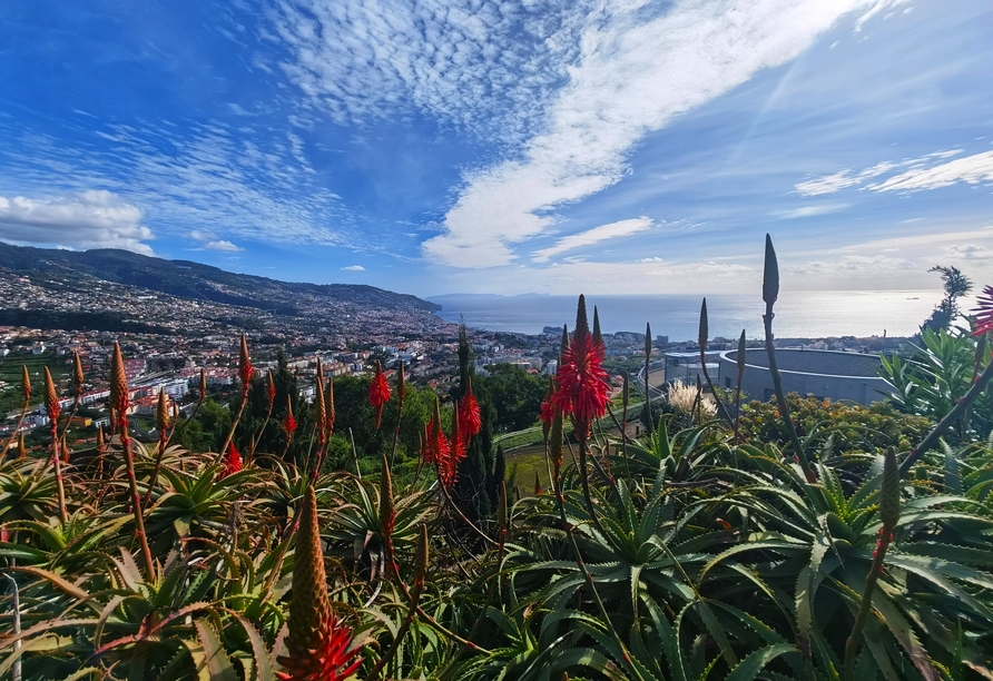 Freuen Sie sich auf atemberaubende Ausblicke wie hier in Richtung Funchal.