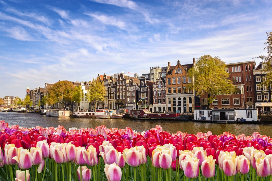 Freuen Sie sich auf Amsterdam zur Tulpenblüte.