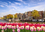 Gerade im Frühling können Sie sich an der Blütenpracht in Amsterdam erfreuen.