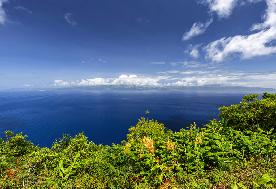 Der Aussichtspunkt Miradouro da Terra Alta auf der Insel Pico bietet einen wundervollen Blick über den Atlantik.