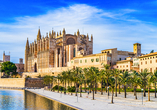 Entdecken Sie die Sehenswürdigkeiten auf Mallorca, wie zum Beispiel die Kathedrale von Palma.
