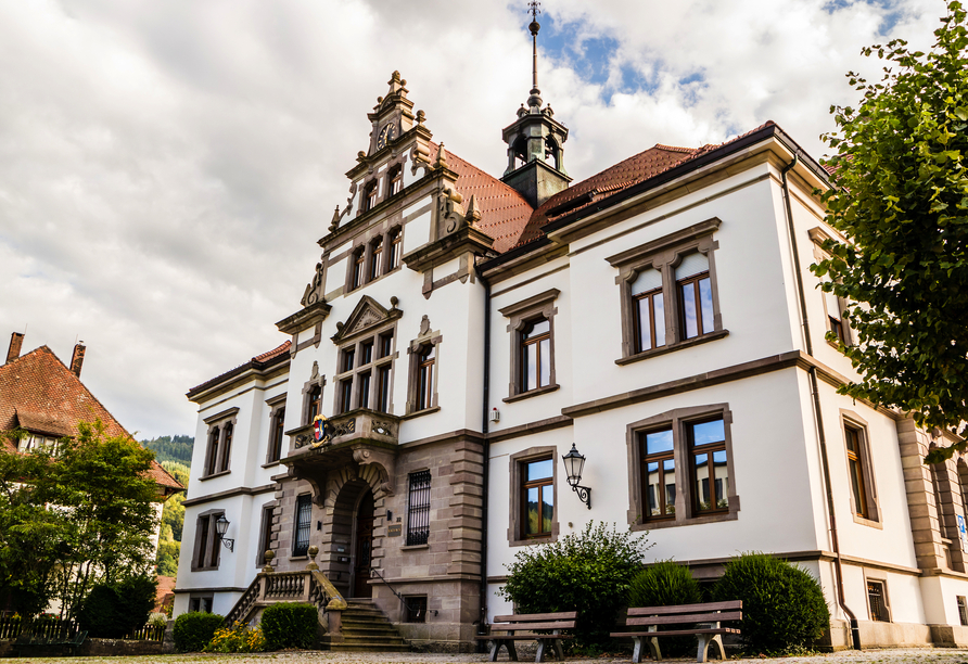 Das Rathaus von Schönau