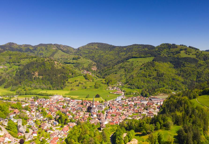 Schönau liegt idyllisch im Grünen.