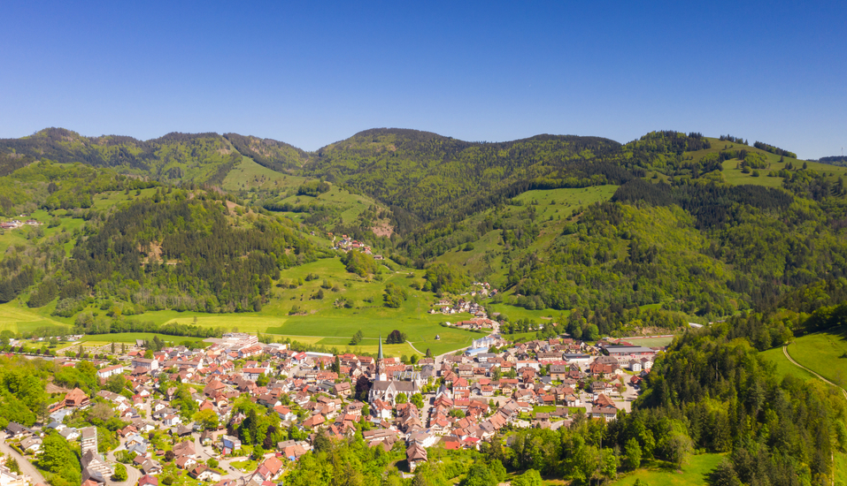 Schönau liegt idyllisch im Grünen.