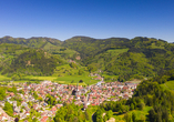 Schönau liegt idyllisch im Grünen.