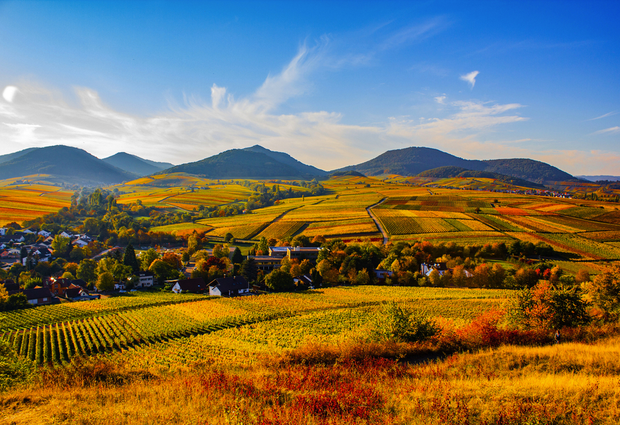 Tauchen Sie ein in das Herz der Pfalz und lassen Sie sich von der Vielfalt und Schönheit dieser Region verzaubern.