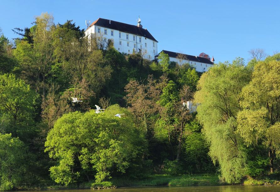 Das Schloss Radkersburg thront majestätisch über der Mur. 